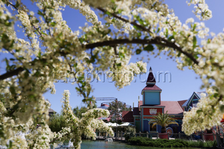 Sochi Park amusement park