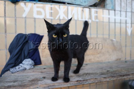 Donetsk People's Republic in aftermath of drone attack