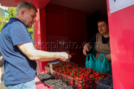 Продажа клубники в Москве