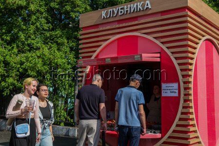 Продажа клубники в Москве