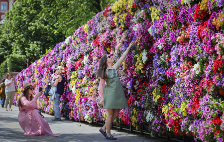 'Summer in Moscow: Gardens and Flowers' Festival