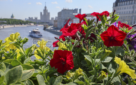 'Summer in Moscow: Gardens and Flowers' Festival
