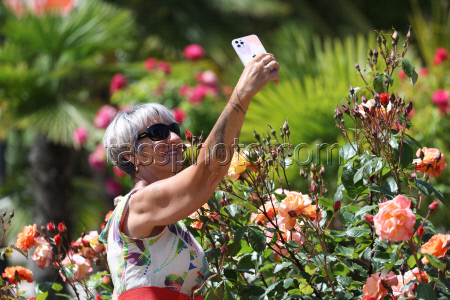 Rosery in Sochi's Riviera Park