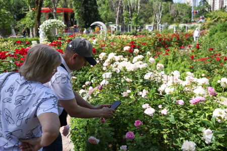 Rosery in Sochi's Riviera Park