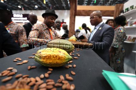7th International Exhibition of Agriculture and Animal Resources (SARA) in Abidjan