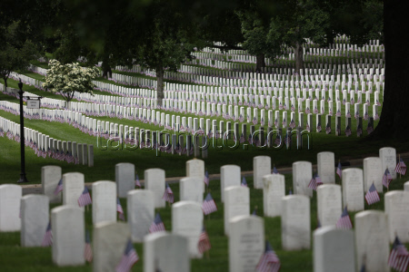 US Flags At Arlington National Cemetery In Arlington In Washington, District Of Columbia, USA, Washington Dc, Virginia. - 23 May 2025