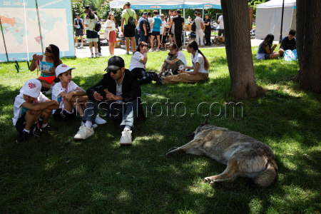 One Run half marathon in Yerevan, Armenia