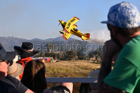 The Old Station Air Show in Raglan
