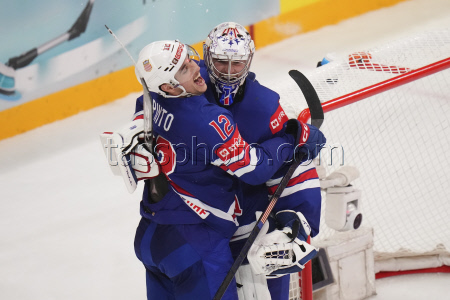 Sweden Hockey Worlds