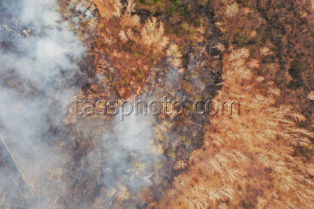 Wildfires in Transbaikal Region, Russia