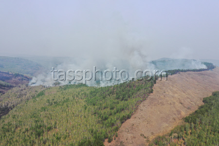 Wildfires in Transbaikal Region, Russia