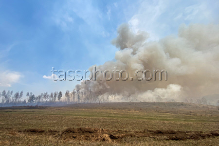 Wildfires in Transbaikal Region, Russia