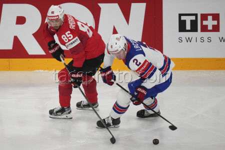 Sweden Hockey Worlds