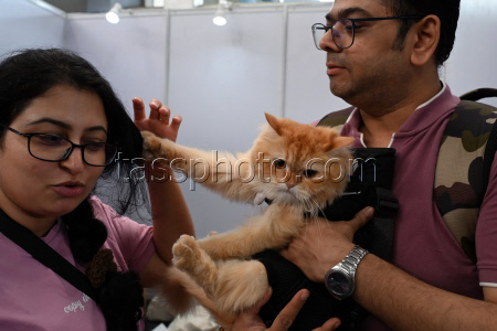 The Feline Club Of India Organises Cat Expo India 2025 In Mumbai
