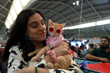 The Feline Club Of India Organises Cat Expo India 2025 In Mumbai