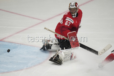 Sweden Hockey Worlds