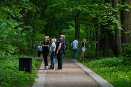 Warm weather in Moscow