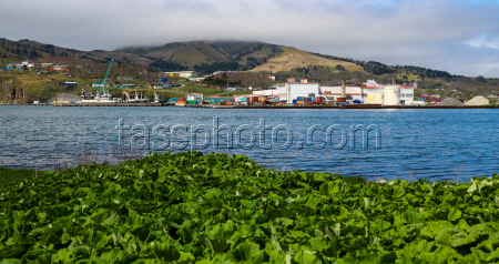 Krabozavodsk fish processing complex on Shikotan Island, Russia