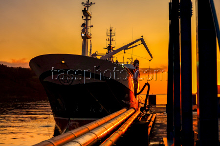 Krabozavodsk fish processing complex on Shikotan Island, Russia