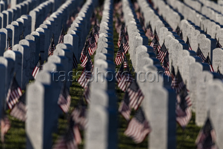 Memorial Day