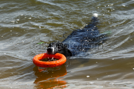 Moscow hit by heat wave