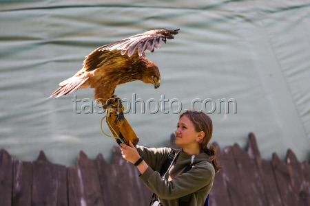 Holzan rehabilitation centre for birds of prey in Sverdlovsk Region, Russia
