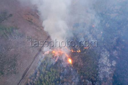 Wildfires in Transbaikal Region, Russia