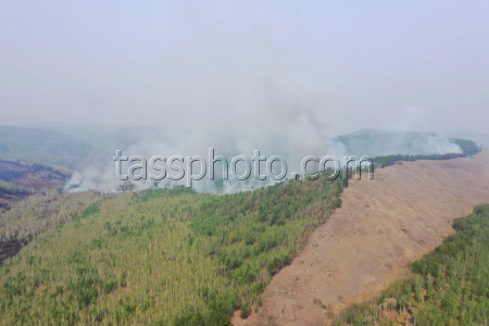 Wildfires in Transbaikal Region, Russia