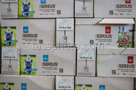 Pet food production in Belgorod Region, Russia
