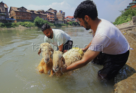 Kashmir Prepares For Eid Al Adha - India