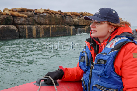 Steller sea lion rookery in Nevelsk, Russia's Sakhalin Region