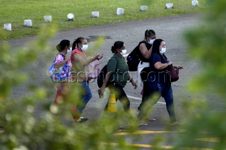Brazil Bird Flu