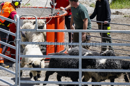 Swiss village buried after collapse of glacier