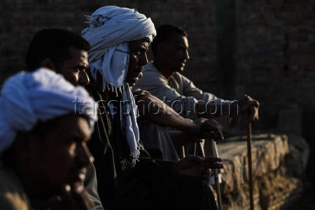Birqash camel market ahead of Eid Al-Adha in Egypt