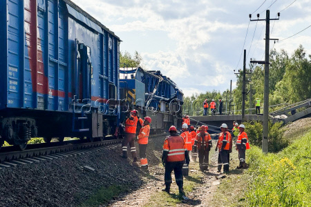 Сход поезда с рельсов в Брянской области
