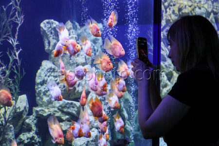 Walk-Through Oceanarium in Yalta