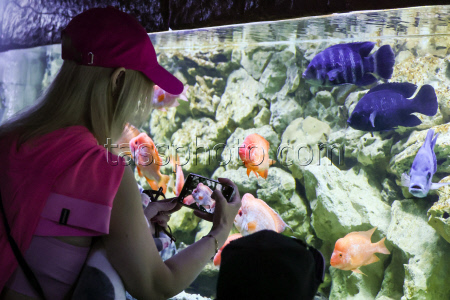 Walk-Through Oceanarium in Yalta
