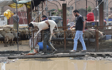 Preparations ahead of Eid al-Adha in Srinagar