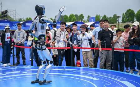 World Robot Carnival in Wuhan - China
