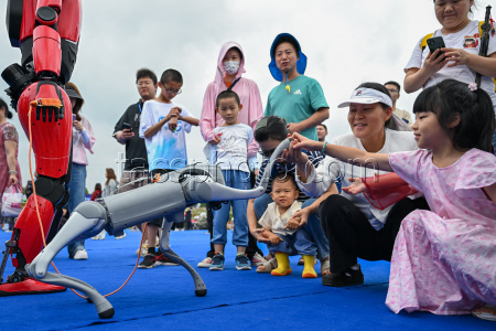 World Robot Carnival in Wuhan - China