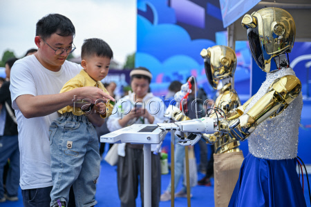 World Robot Carnival in Wuhan - China