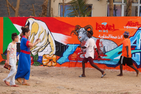 Senegal artists protest Israel's so-called livestock donation with murals