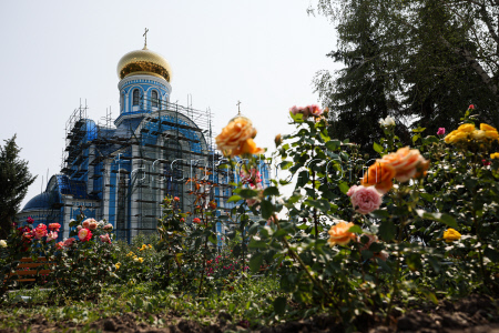 Лето в Луганске